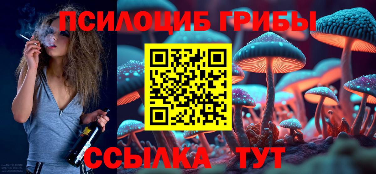 Галлюциногенные грибы Cubensis Тайшет